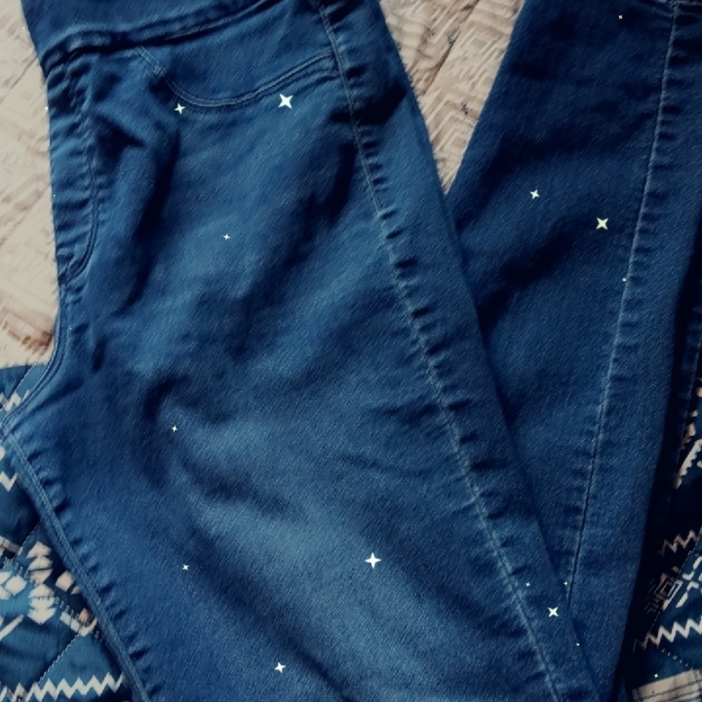 Nine West Women's Dark Blue Skinny Jeans